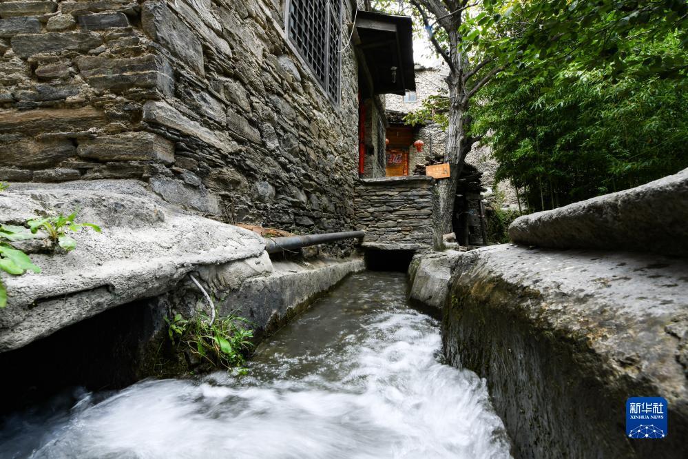 奥门新普京集团